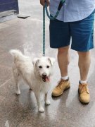 找均衡点至关主要